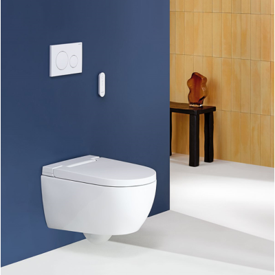 Geberit AquaClean Alba WC puodas su apiplovimo funkcija ir "Soft Close" dangčiu