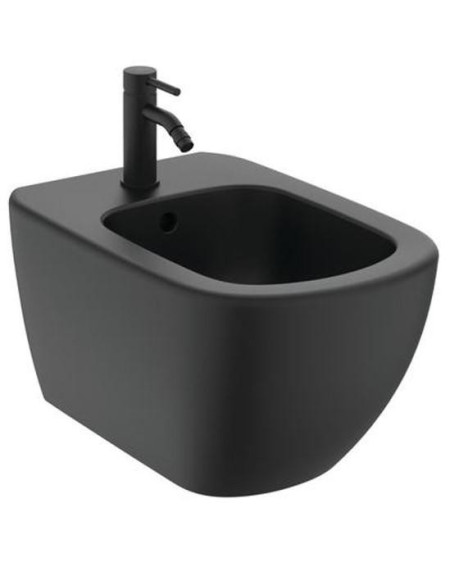 Ideal Standard Tesi pakabinama bidė 530x360mm